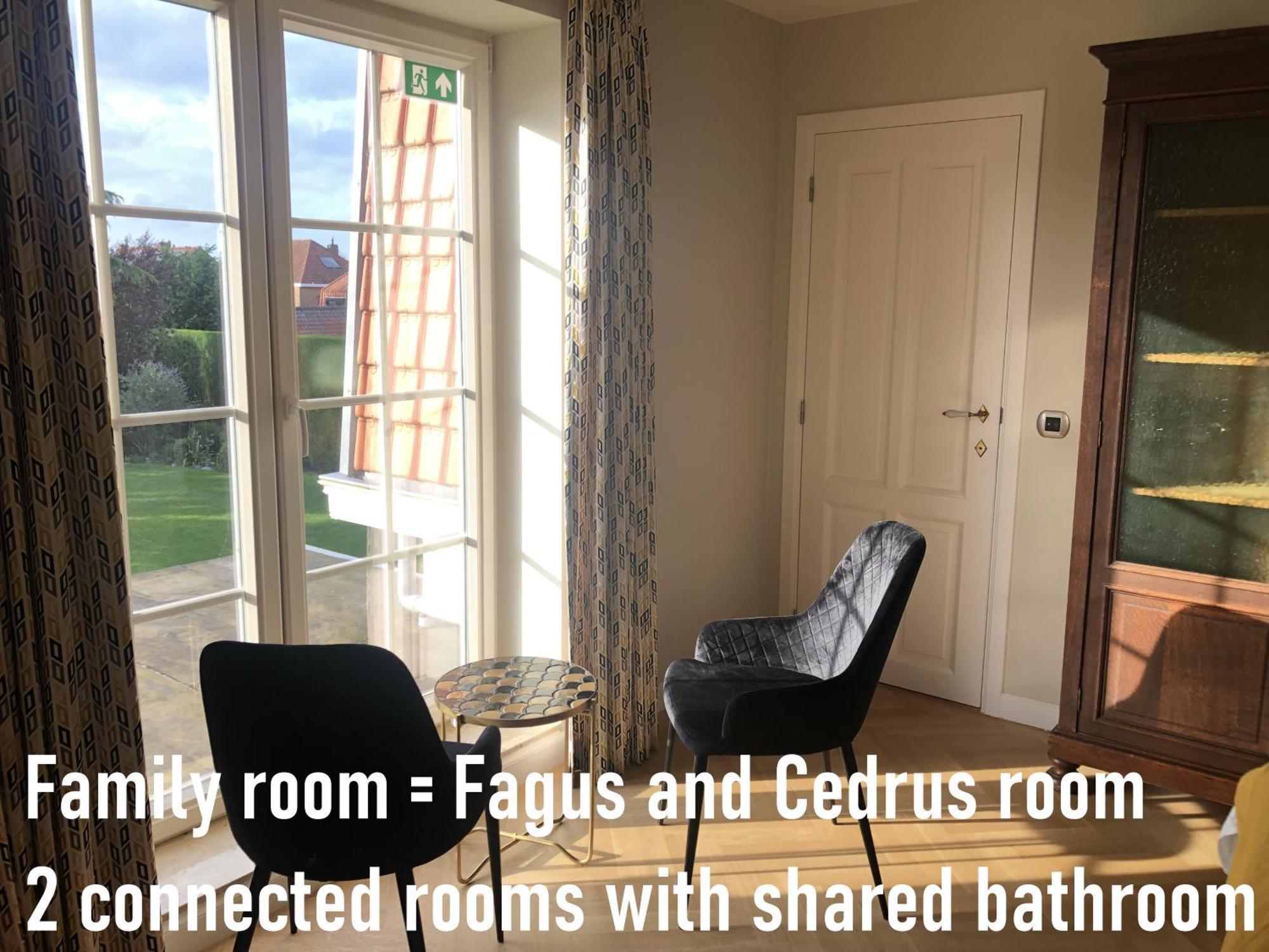 Cedrus Bed & Breakfast Jabbeke  Exterior photo